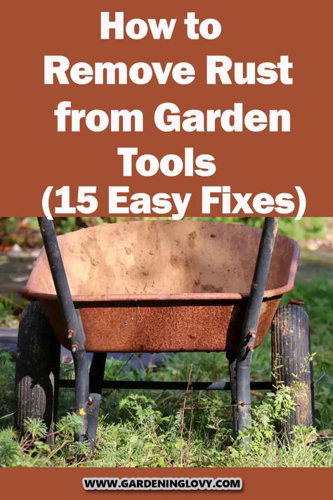 Rust can be a real nuisance when it comes to gardening, so we’ve compiled the best tips and tricks on how to remove rust from garden tools quickly and easily. Cleaning Rusty Tools, Old Garden Tools, Rusty Tools, Natural Bleach, Rusty Garden, Remove Rust, Old Garden, Garden Remedies, How To Clean Rust