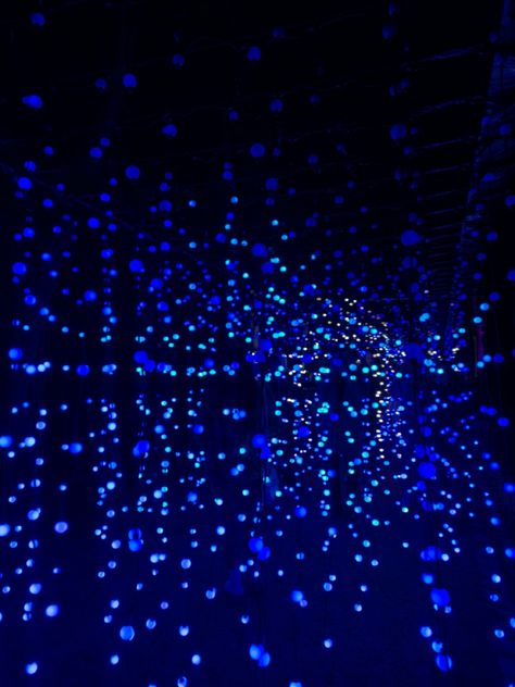 Blue Twinkle Lights, Wish Board, Blue Lights, Blue Hour, Twinkle Lights, Atlantis, Twinkle Twinkle, Light Decorations, Aura