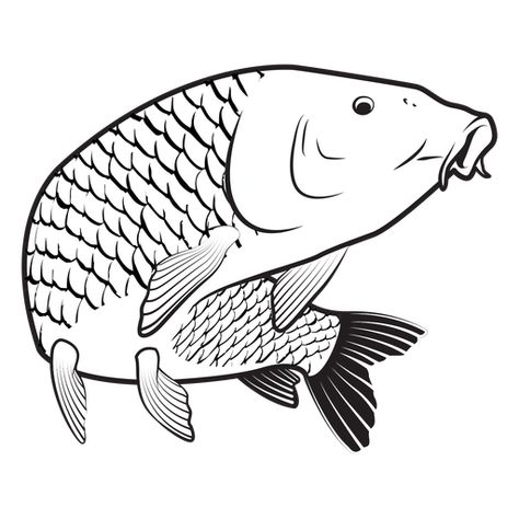 Carp fish stroke #AD , #Carp, #stroke, #fish Lake Silhouette, Common Carp, Carp Fish, Character Flat, Fishing Svg, Fish Drawings, Gone Fishing, Silhouette Files, Carp Fishing