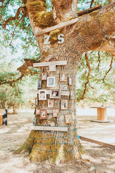 Tree For Wedding Ceremony, Family Tree Wedding, Tree Wedding Ceremony, Wedding Family Photos, Family Photos Wedding, Tree Wedding Centerpieces, Willow Tree Wedding, Oak Tree Wedding, Ancestry Tree