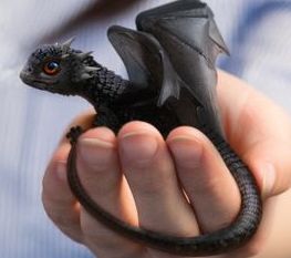 Dragon Photo, Mini Dragon, Baby Dragons, Dragon Sculpture, Cute Fantasy Creatures, Little Dragon, Cute Dragons, Baby Dragon, Black Dragon