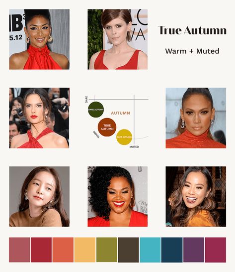 True Autumn: A Comprehensive Guide | the concept wardrobe Autumn Color Analysis, Seasonal Colour Analysis, The Concept Wardrobe, True Spring Colors, Autumn Color Palette Fashion, Concept Wardrobe, Autumn Skin, Soft Autumn Color Palette, True Autumn