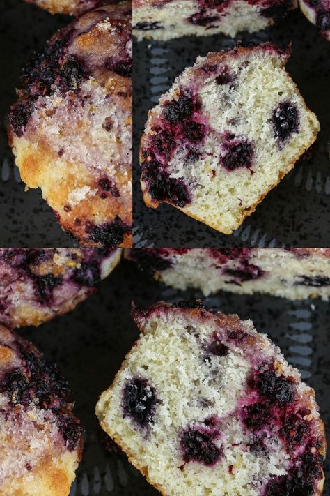 HOMEMADE MUFFINS MADE WITH WILD MULBERRIES AND LEMON. Mulberry Muffins, Mulberry Benefits, Mulberry Jam, Mulberry Recipes, Yogurt Muffins, Foraged Food, Lemon Muffins, Homemade Muffins, Baking Muffins