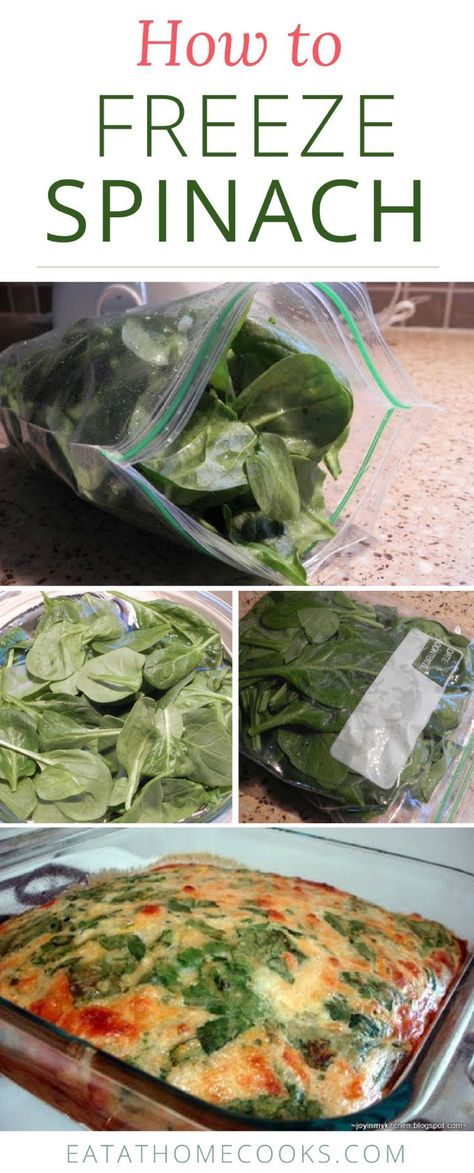 Freeze Fresh Spinach, Prep Smoothies, Freezer Prep, Best Cooking Oil, Eat At Home, Freezing Food, Vegetable Prep, Freezer Meal Prep, Fresh Spinach