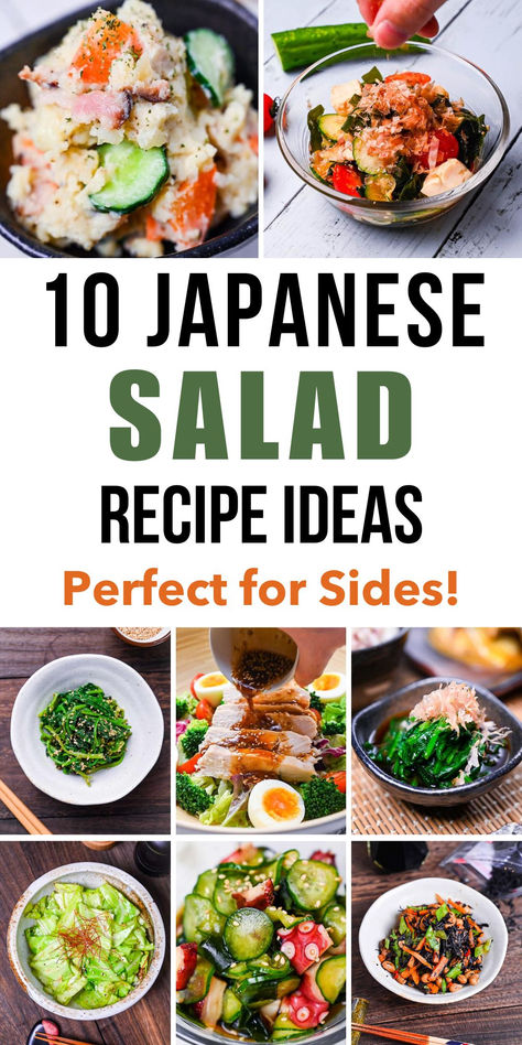 Japanese salad recipes showcasing diverse dishes with vibrant vegetables, seafood, and traditional ingredients Japanese Food Side Dish, Japanese Squid Salad Recipe, Easy Japanese Lunch Recipes, Japanese Veggies, Japanese Salads, Japanese Salad Recipes, Japanese Cabbage Salad, Wakame Salad, Asian Salads