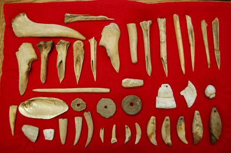 Fort Ancient bone, shell, teeth, and pottery artifacts, from Kentucky and Ohio. Prehistoric Native American American Indian arrowheads Native American Gods, Artifact Hunting, Paleo Indians, Native American Tools, Arrowheads Artifacts, Stone Tools, Native American Quotes, Indian Artifacts, Native American Artifacts