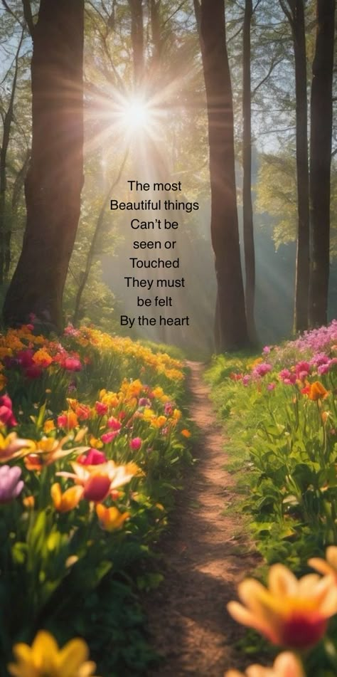 Nature Quotes Beautiful Peace, Your Faith Is Beautiful The Chosen, Storms Of Life Quotes Faith, Rise Shine Quote, Quotes On Nature Beauty Flowers, Scripture About Natures Beauty, Act Of Kindness Quotes, Inspirational Uplifting Quotes, Inspirational Lyrics