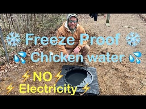 Chicken Watering System Winter, Solar Chicken Water Heater, Chicken Waterer For Winter, Chicken Water Heater, Heated Chicken Waterer, Duck Waterer, Chicken Watering System, Duck Ponds, Water Heater Diy