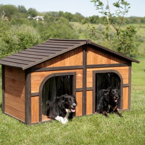 Easy Diy Dog House, Double Dog House, Easy Dog House, Dog House With Porch, Diy Dog Houses, Dog House Ideas, Wood Dog House, Raised Floor, Build A Dog House