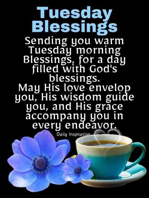 Blessed Tuesday Quotes Inspiration, Good Morning Tuesday Inspiration, Good Morning Quotes Tuesday, Tuesday Morning Greetings, Tuesday Blessings Inspiration, Tuesday Blessings Mornings, Tuesday Morning Blessings, Tuesday Morning Wishes, Good Morning Tuesday Wishes