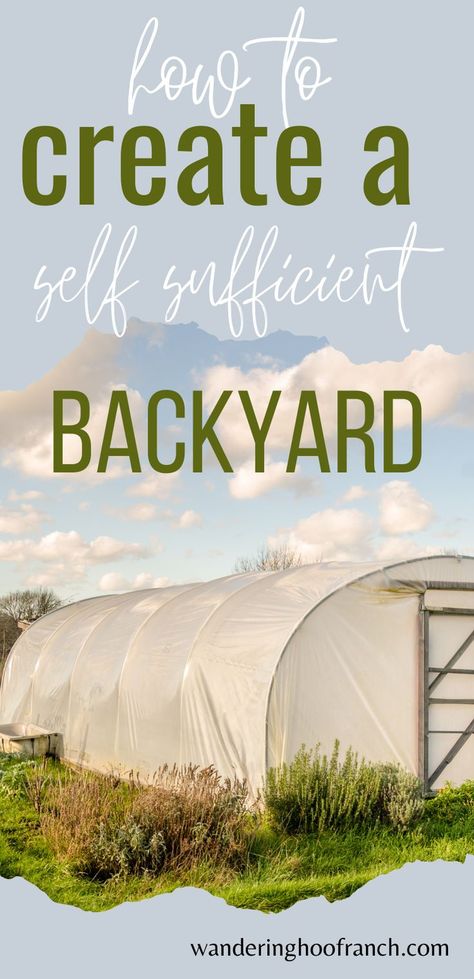 how to create a self sufficient backyard Self Sufficient On One Acre, Self Sufficient Living Small Farm, Self Sufficient Skills, Become Self Sufficient, Self Sufficient Backyard, Gardening Vertical, Self Sufficient On 1/4 Acre, Vertical Garden Ideas, Cactus Gardens