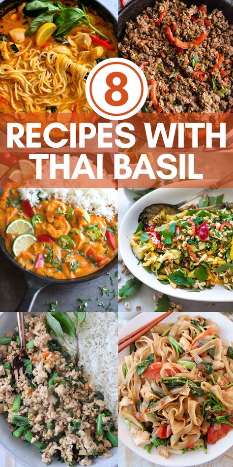 collage of images of recipes with thai basil as an ingredient Thai Basil Noodle Recipe, Recipes That Use Thai Basil, What To Make With Thai Basil, Thai Basil Pasta, Thai Basil Vegetables, Thai Basil Uses, Fresh Thai Basil Recipes, Spicy Basil Fried Rice Thai, What To Do With Thai Basil