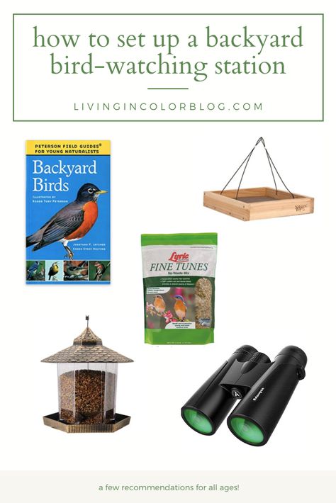 Bird Watching Station, Bird Watching Journal, Backyard Birds Watching, Birding Journal, Wild Bird Feeders, Common Birds, Homeschooling Ideas, Wild Bird Food, Writing Utensils