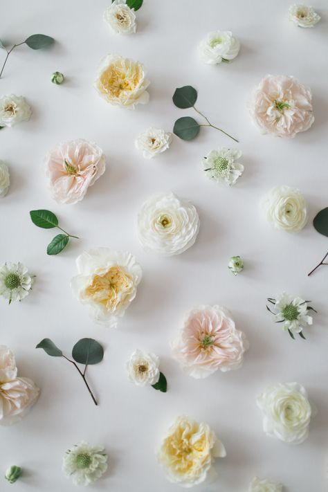 Floral Photography Art, Spring Flowers Wedding, Floral Flatlay, Flower Background Iphone, Flowery Wallpaper, Wedding Party Ideas, Spring Wedding Inspiration, Spring Wedding Flowers, Floral Inspiration