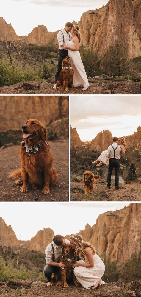 Dog Wedding Pictures, Elopement Checklist, Country Western Wedding, Sf Wedding, Oregon Elopement, Cabin Wedding, Photos With Dog, Leave No Trace, Colorado Elopement