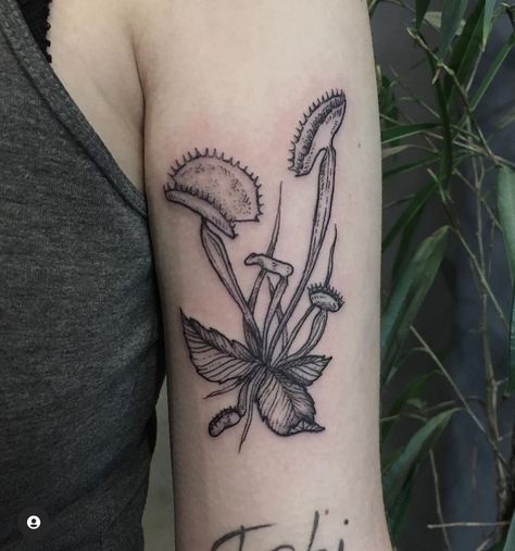 Venus Fly Trap Tattoo Simple, Venus Fly Trap Tattoos, Venus Fly Trap Tattoo Black And White, Venus Fly Trap Drawing, Powerline Tattoo, Venus Flytrap Tattoo, Fly Trap Tattoo, 93 Tattoo, Venus Fly Trap Tattoo