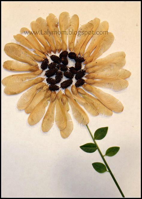 Sunflower crafted out of seeds, pine cones grass and leaves from Lalymom Sunflower Art For Kids, Reggio Projects, Seeds Pictures, Fall Pictures Nature, Leaves Crafts, Transient Art, Seed Craft, Maple Seed, Seed Art