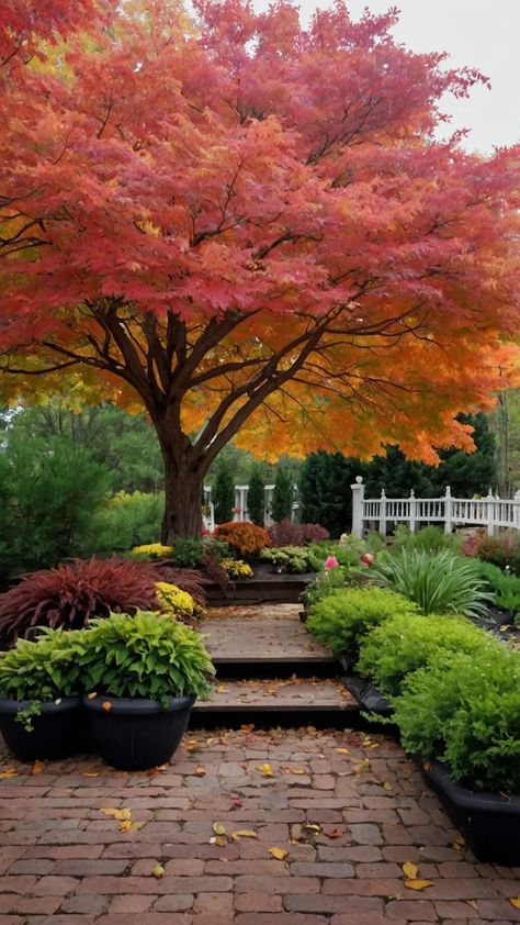 Revamp Your Outdoor Space: 15 Must-Try Fall Garden Ideas - Inspire Inlet Fall Garden Ideas, Gardening Party, Fall Landscaping, Zone 7, Gardening Zones, Japanese Maples, Planting Ideas, Garden Of Earthly Delights, Fall Garden