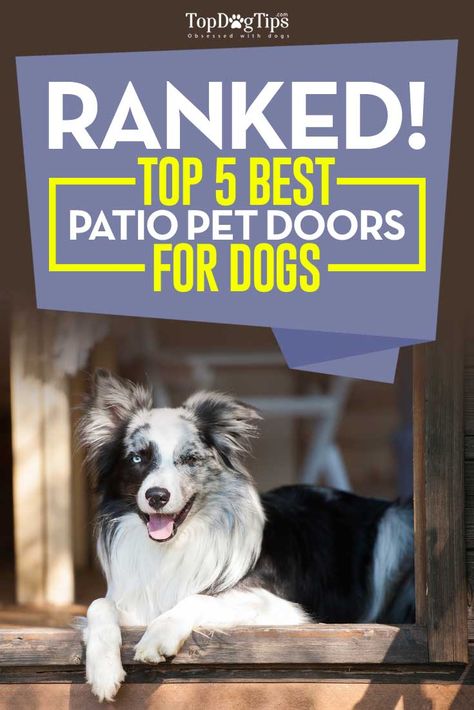 Dog doors are great. They offer convenience and accessibility, but what about that big hole in your door? Some pet owners put their dog doors in an exterior wall of their home, but then what do you do when you decide to remove the dog door? If you have a sliding glass door, patio pet doors allow you to install a dog door in your home without all the hassle. #dogdoor #petdoors #dogsupplies #petsupplies #dogs Glass Door Patio, Smart Dog Door, Sliding Glass Dog Door, Patio Dog Door, Best Dog Door, Pet Patio Door, Dog Doors, Diy Screen Door, Dog Cold