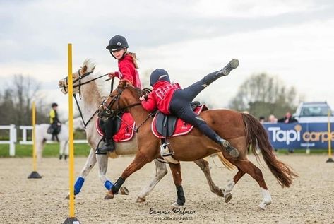 Pony Games, Obstacle Race, Horse Ideas, Things Photography, Pony Club, Equestrian Life, Show Jumping, Horse Stuff, Equestrian Style