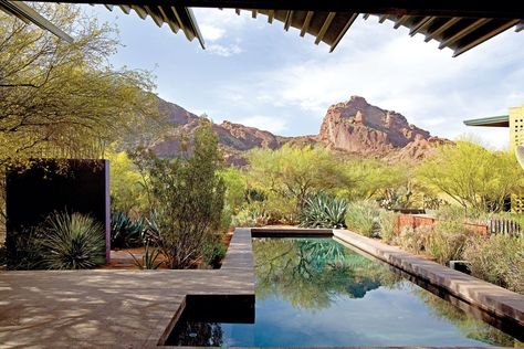 Steve Martino, desert gardens, pool reflecting surroundings Hampton Pool, Desert Gardens, White Oak Tree, New York Summer, Pool Landscape Design, Pool Home, Santa Fe Style, New Orleans Homes, Reflecting Pool