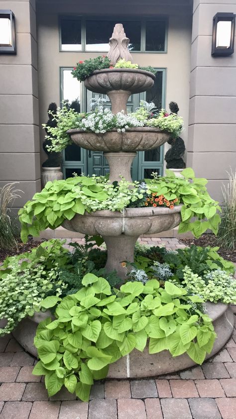 Fountains Planted With Flowers, Water Fountain Flower Bed, Fountains With Flowers, Fountain Ideas For Front Yard, Fountain Front Yard Landscaping, Front Yard With Fountain, English Garden With Fountain, Flower Fountain Ideas, Water Fountain With Flowers