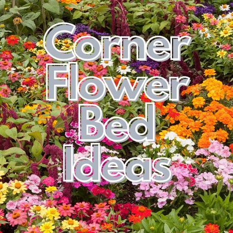 10 Stunning Corner Flower Bed Ideas That Will Transform Your Garden Corner Flower Bed Ideas, Corner Flower Bed, Shade Tolerant Plants, Brick Edging, Small Water Features, Flower Bed Ideas, Corner Garden, Making Changes, Sustainable Garden