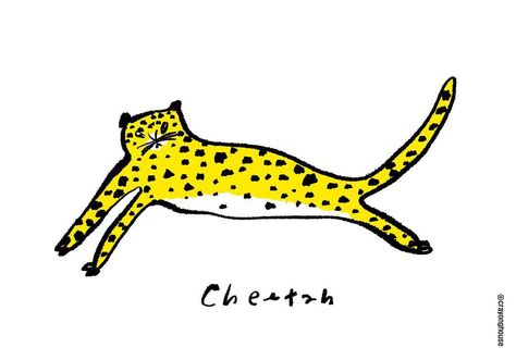 Cheetah Doodle, Leopard Doodle, Animals Doodle, Glennon Doyle, Red Pandas, Baby Lion, For Stickers, Cheetahs, Red Panda