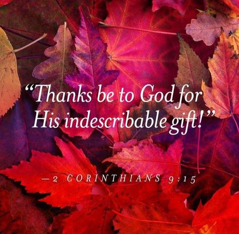 Gospel Verses, Scripture Images, Thanksgiving Happy, Thanksgiving Blessings, Thankful Quotes, Happy Sabbath, Thanksgiving Images, Christ Quotes, Trusting God