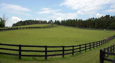 Horse Turnout Paddock, Livery Yard, Horse Turnout, Pasture Fencing, Equestrian Property, Horse Paddock, Ranch Gates, Dream Stables, Dream Horse Barns