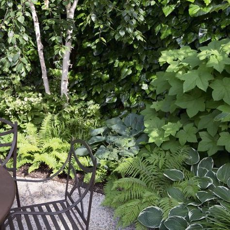 Plan Garden Design, Garden Vertical, Home Garden Ideas, Shady Garden, Small City Garden, Backyard Garden Diy, Garden Corner, Sustainable Gardening, Corner Garden