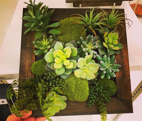 Snake Wall Decor, Wall Boho Decor, Succulent Wall Decor, Senior Crafts, Succulent Frame, Succulent Decor, Hanging Succulents, Succulents Decor, Crafts Decor