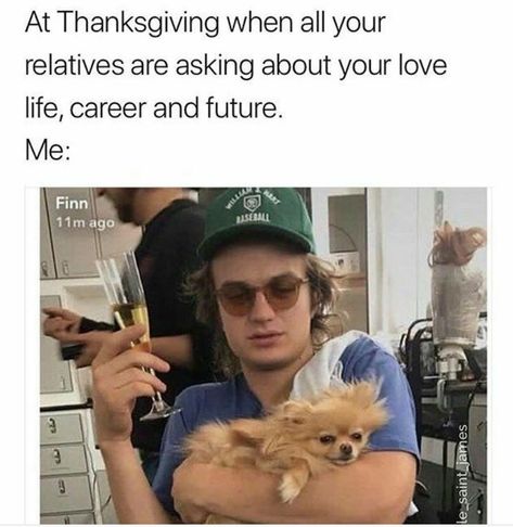 Funny Thanksgiving Memes, Thanksgiving Meme, College Memes, The Ancient Magus Bride, Nursing Memes, Medical Humor, Fresh Memes, Memes Humor, Funny Thanksgiving