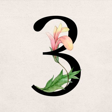 Number 3 font vintage typography | premium image by rawpixel.com / Boom Font Vintage, Image Font, Vintage Typography, Number 3, Image Illustration, Free Photos, Typography, Flowers, Floral