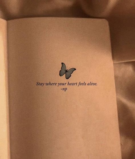 Inspirational Quotes Background, Love Captions, Butterfly Quotes, Soothing Quotes, Dear Self Quotes, Quotes Deep Feelings, Bio Quotes, 7 Minutes, Quote Backgrounds