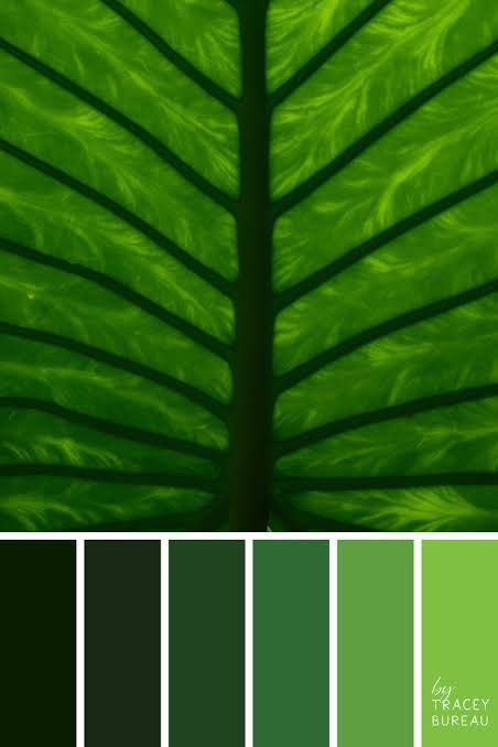 Natural greens Leaf Color Palette, Brand Colors Inspiration, Color Palette Inspiration, Wedding Color Ideas, Avoid Burnout, Painting Colors, Colors Wedding, Room Painting, Color Schemes Colour Palettes