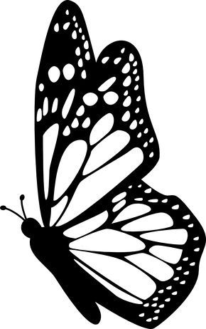 Butterfly side view with detailed wings free icon                                                                                                                                                                                 More Butterfly Side View, Stensil Bunga, Seni Arab, Butterfly Stencil, Butterfly Template, Siluete Umane, Butterfly Logo, Butterfly Clip Art, Butterfly Drawing