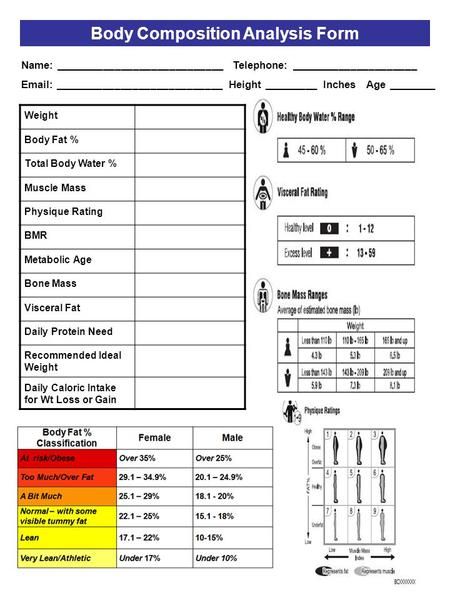 Body Composition Analysis Form> Health Related Components Of Fitness, 3 Month Workout Plan, Composition Template, Fitness Assessment Form, Physical Fitness Assessment Form, Nutrition Assessment Form, Training Needs Analysis Template, Composition Worksheet, Advanced Physical Assessment