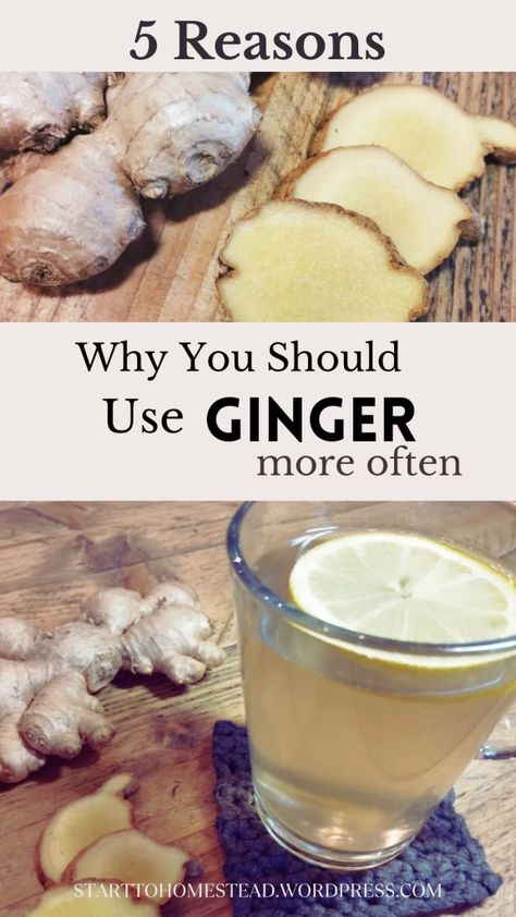 Discover the powerful benefits of ginger and why this ancient root deserves a spot in your kitchen. From reducing inflammation and aiding digestion to easing muscle pain, ginger offers a natural way to support your well-being. Learn five key reasons to incorporate ginger into your daily meals and how to enjoy its warm, spicy flavor in everything from soups to smoothies. Uses For Ginger Root, Ginger Root Benefits, Ginger For Inflammation, Benefits Of Ginger Root, Ginger Uses, Benefits Of Ginger, Health Benefits Of Ginger, Ginger Benefits, Reducing Inflammation