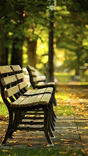 Small fresh creative background park wooden chairs h5 Background Park, Life Notes, Photoshop Digital Background, Blurred Background Photography, Photography Studio Background, Blur Background Photography, Learn Photo Editing, Black Background Photography, Beach Background Images