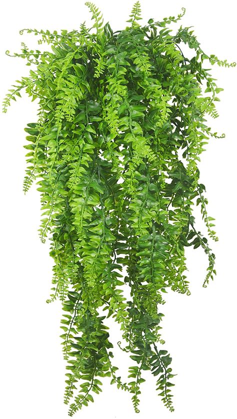 Fern Bush, Plants Vines, Hanging Ferns, Fake Hanging Plants, Indoor Plant Wall, Garland Wedding Decor, Artificial Hanging Plants, Hanging Plant Wall, Wedding Garland