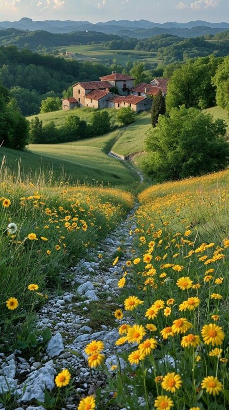 Green Field Wallpaper, Countryside Wallpaper, Countryside Aesthetic, Landscape Wallpapers, Hedgehog Design, Countryside Pictures, Pretty Landscapes, Outfit Making, Beautiful Scenery Nature