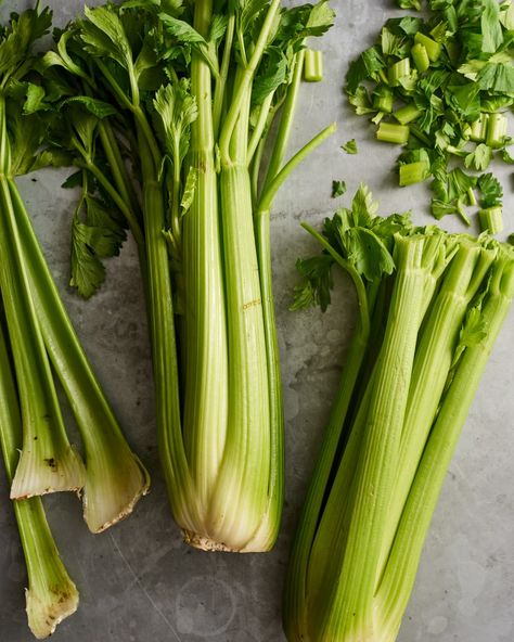 Can You Freeze Celery, Freeze Celery, How To Freeze Celery, How To Store Celery, Watermelon Farming, Celery Recipes, Freezing Herbs, Freezing Food, Avocado Plant