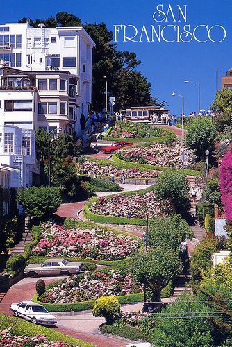 SAN FRANCISCO - Lombard Street - Californie by Michel27, via Flickr Lombard Street San Francisco, Lombard Street, Pacific Coast Highway, Incredible Places, Places Around The World, Wonderful Places, Vacation Spots, Dream Vacations, Beautiful World