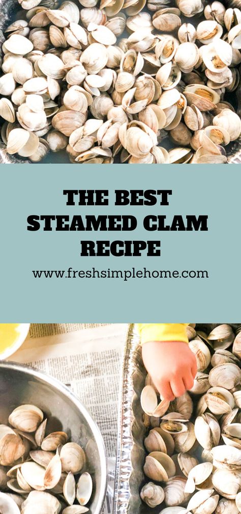 The best steamed clams you will ever eat! This easy recipe will have your friends and family ready to devour these beer steamed clams! The delicious garlic butter will have you coming back for more. Great for family gatherings and parties! How To Steam Clams On The Stove, Clam Recipes Steamed, Steamers Recipe Clams, How To Steam Clams, Steam Clams, Clam Recipe, Steamed Clams Recipe, Clam Bake Party, Steamer Clams