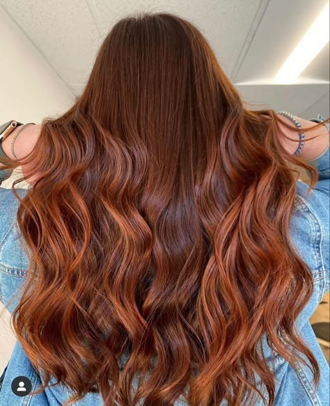 Red Hair On Brunette, Brown Balayage Hair, Gala Hair, Light Red Hair, Pretty Red Hair, Gold Balayage, Rambut Brunette, Hair Colors Ideas, Dragon Icon