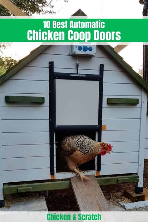 Automatic Chicken Door, Chicken Door, Automatic Door Opener, Chicken Coop Door, Coop Door, Automatic Chicken Coop Door, Easy Chicken Coop, Chicken Coop Decor, Backyard Chicken Coop Plans