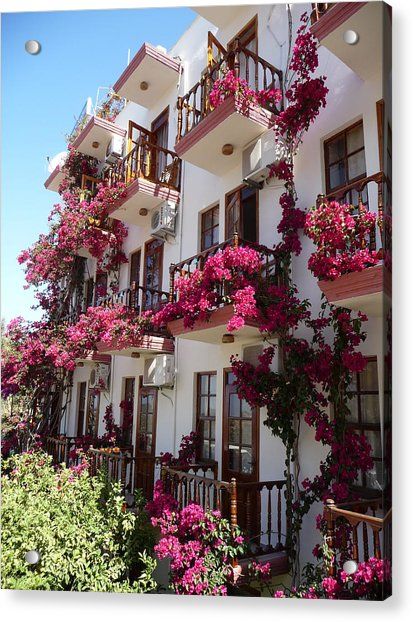 Bougainvillea Balcony, Pink Bougainvillea, Balcony Flowers, Balcony Plants, Flowers Wallpaper, Decoration Inspiration, Apartment Balconies, Bougainvillea, An Apartment