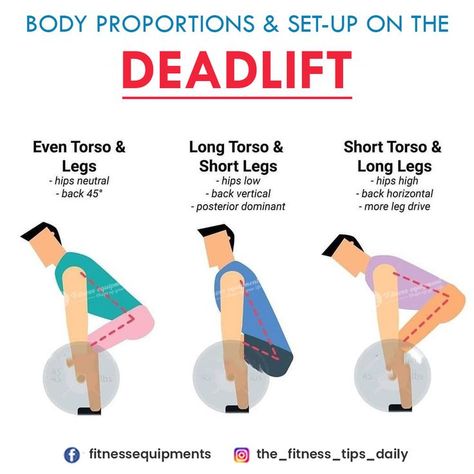 #deadlift #exercise #bodyexercise #fitness #stayfit #staysafe #fitnessequipment #healthylife #healthtipsoftheday Deadlift Target Muscles, Full Body Workout Plan, Check Yourself, Leg Workout At Home, Gym Tips, Workout Memes, Body Workout Plan, Body Proportions, Spinal Cord