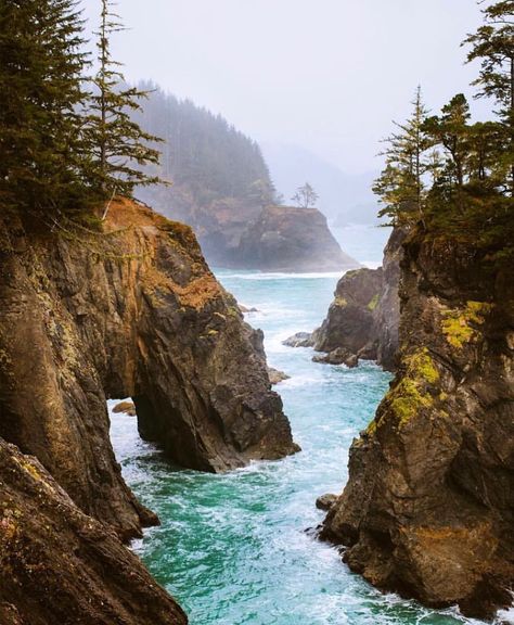 Cascadia Explored on Instagram: “Location: Samuel H Boardman State Park, Oregon  Photographer: @brandon.fenton •  Samuel H. Boardman State Scenic Corridor is a linear state…” European City, Oregon Trail, Willamette Valley, Oregon Travel, Whale Watching, Oregon Coast, Activities To Do, Wine Country, Portland Oregon